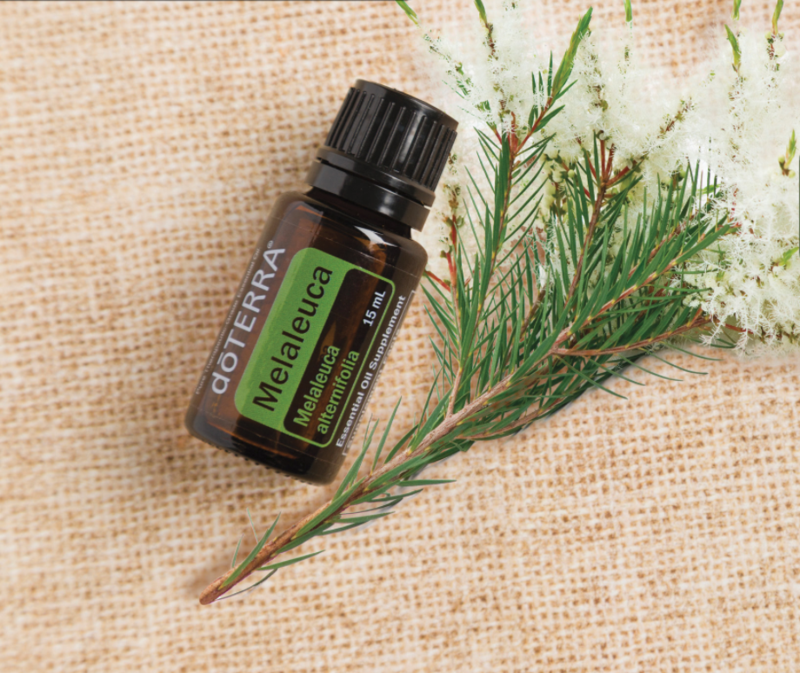 Ulei esential Melaleuca-arborele de ceai doTERRA-30150805